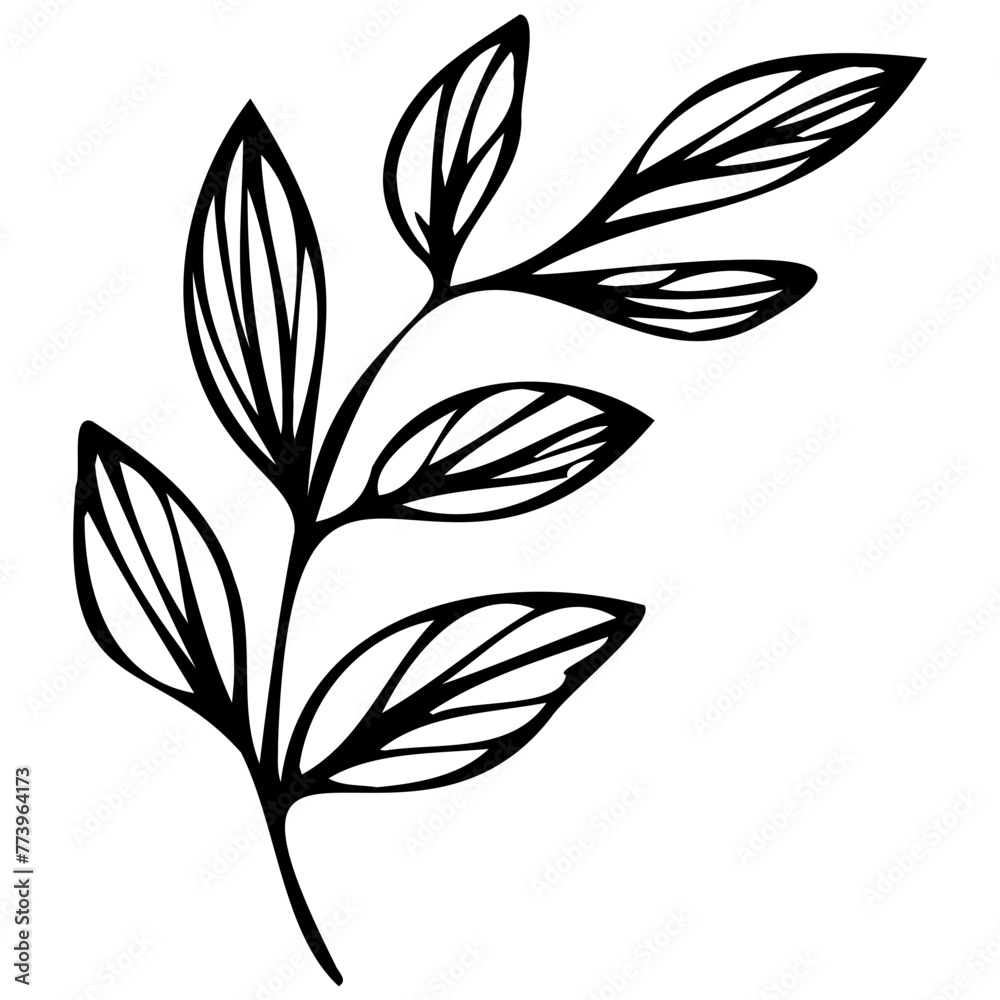 Hand drawn leaves line linear black Strock Symbol visual illustration Hand drawn leaves line linear black Strock Symbol visual illustration hand drawn curly grass and on white background Hand drawn leaves line linear black Strock Symbol visual illustration Hand drawn leaves line linear black Strock Symbol visual illustration hand drawn curly grass and on white background
