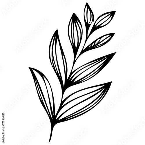 Hand drawn leaves line linear black Strock Symbol visual illustration Hand drawn leaves line linear black Strock Symbol visual illustration hand drawn curly grass and on white background © Microstocke
