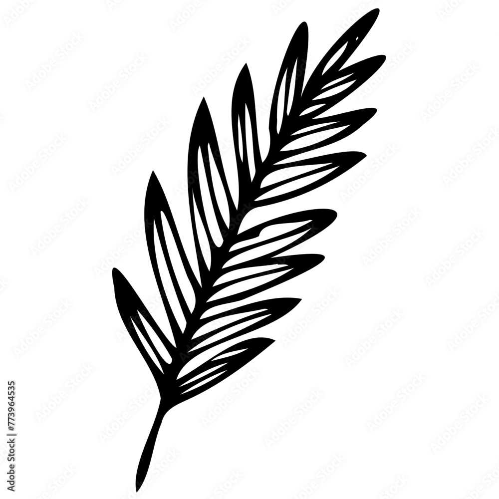 Hand drawn leaves line linear black strock Symbol visual illustration hand drawn curly grass and flowers on white isolated background. Botanical illustration. Decorative floral Hand drawn leaves line linear black strock Symbol visual illustration hand drawn curly grass and flowers on white isolated background. Botanical illustration. Decorative floral