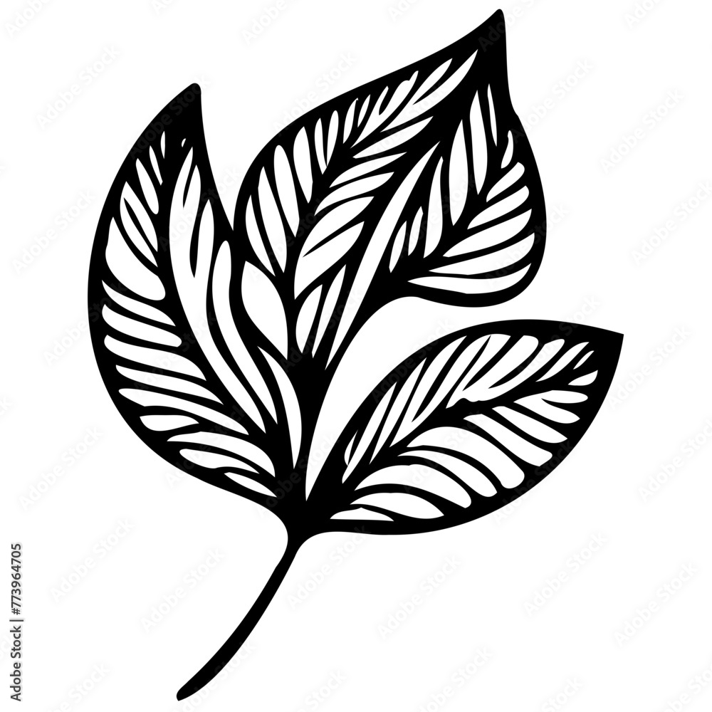 Hand drawn leaves line linear black strock Symbol visual illustration hand drawn curly grass and flowers on white isolated background. Botanical illustration. Decorative floral