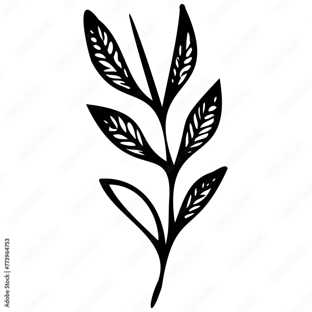 Hand drawn leaves line linear black strock Symbol visual illustration hand drawn curly grass and flowers on white isolated background. Botanical illustration. Decorative floral