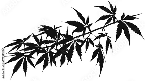 Decorative black trafaret of big branch hemp on white