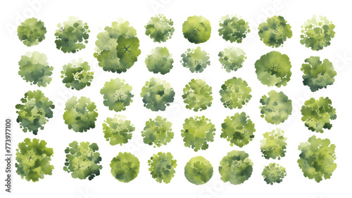 Various green trees, bushes and shrubs, top view for landscape design plan. Isolated watercolor illustration, PNG cutout.