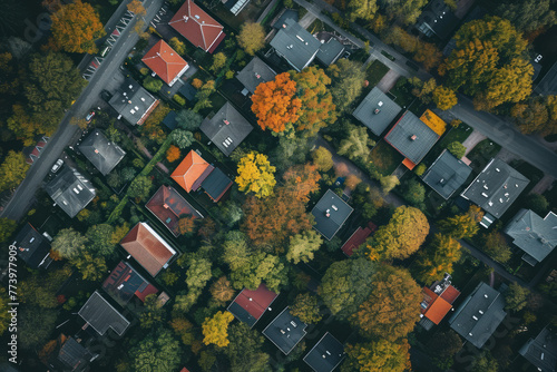Aerial view showcasing a neighborhood in autumn with colorful trees, houses, and streets