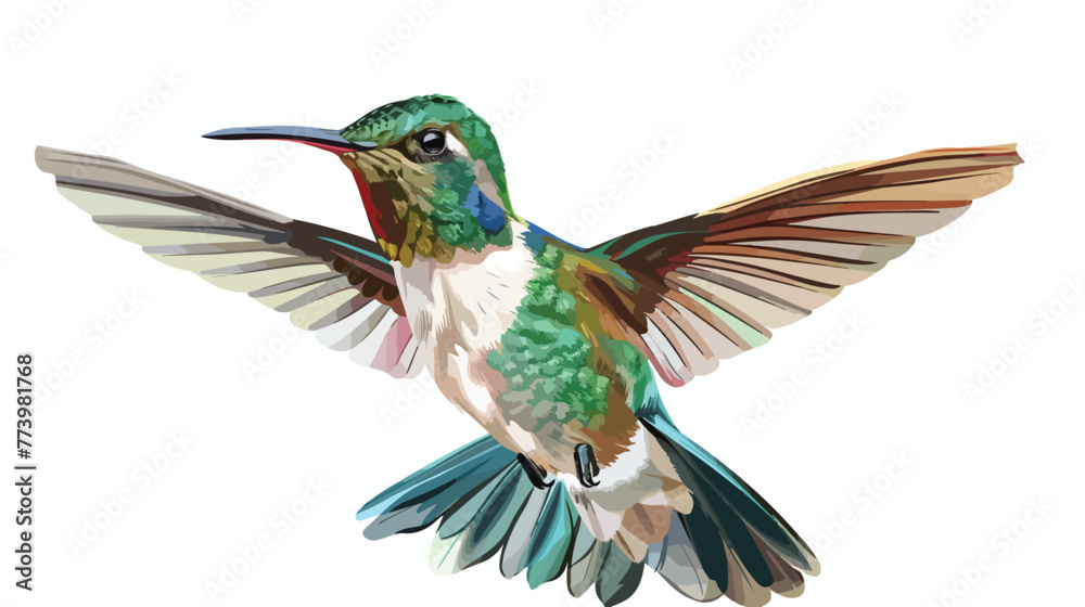 Hummingbird vector illustration with brush tool style