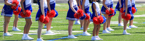 Young cheerleaders standing on a field holding pom poms photo