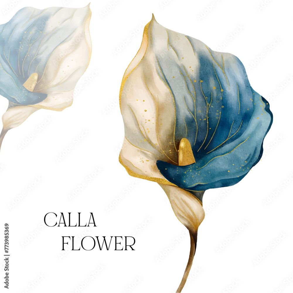 Vector calla flower isolated with golden elements. Calla flower bloom in blue and beige colour palette for wedding decor, textile print. Watercolour botany