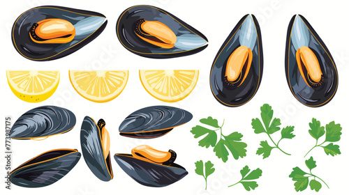 Mussels on a open shells with lemon and parsley flat vector