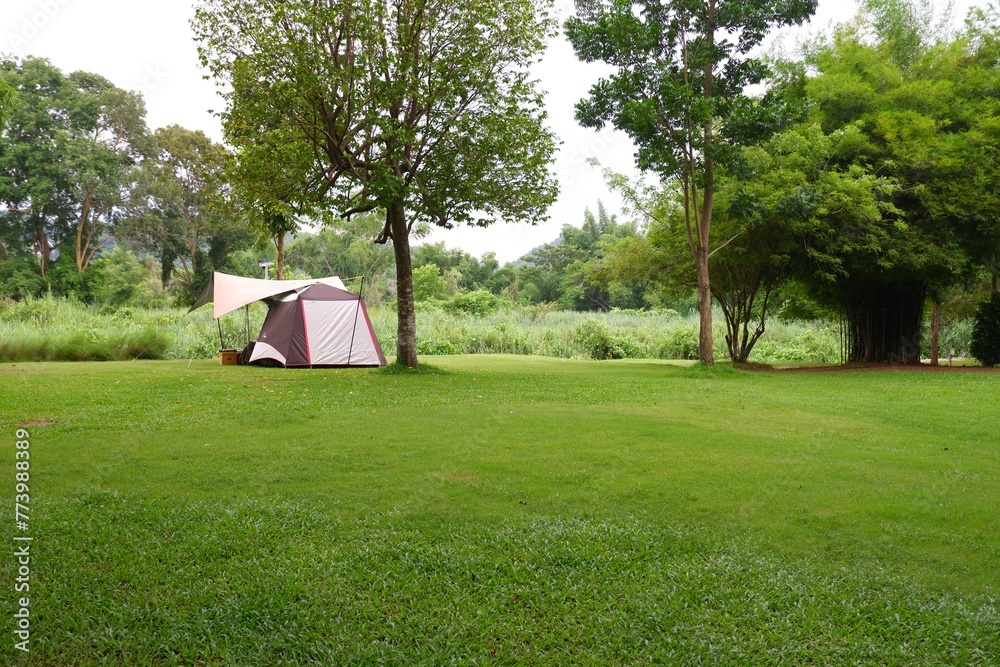 Obraz premium Green lawns, places to relax and camp on natural background 