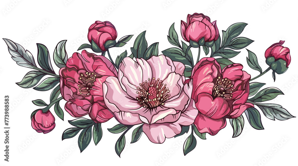 Peony flowers on white background. Graphic hand drawn