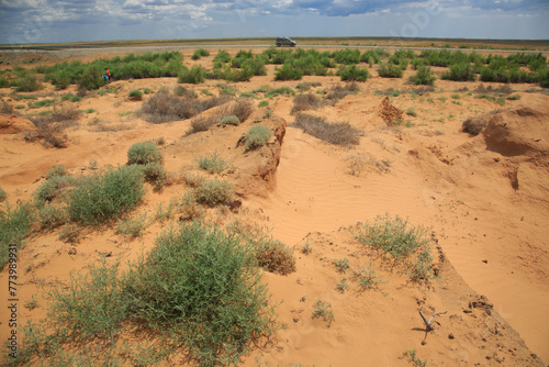 Landscape of a sandy desert on a sunny day.