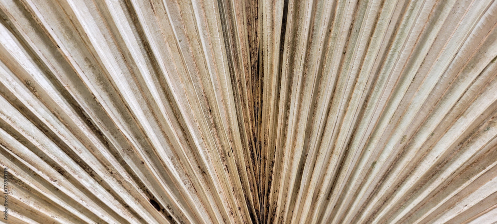 Obraz premium black texture background with rustic shapes