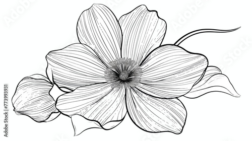 Stylized flower in black lines on a white background f