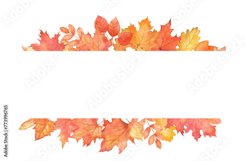 Rectangle fall frame. Autumn maple leaves isolated