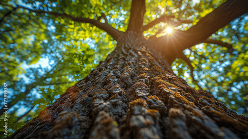 Spring's Embrace: Arbor Day brings warmth and sunshine, illustrating nature's renewal.