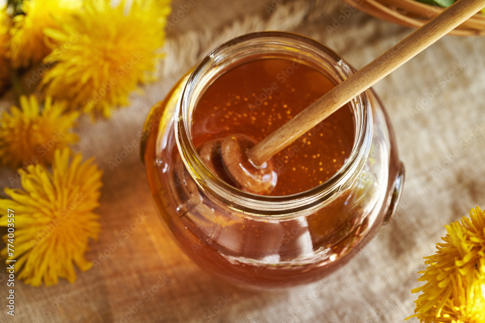 A jar of dandelion honey - homemade syrup made from fresh dandelion flowers in spring A jar of dandelion honey - homemade syrup made from fresh dandelion flowers in spring