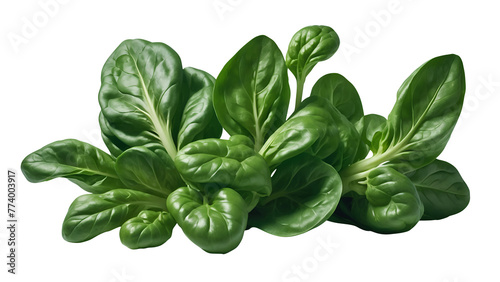 Water spinach png vegetable png Spinach png brunch of spinach png spinach brunch png green vegetable png spinach transparent background spinach without background