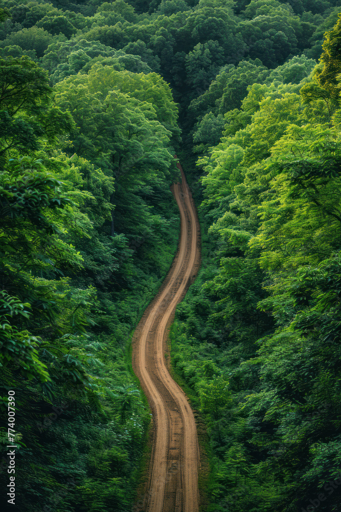 Rural Dirt Track Aerial Shot, road adventure, path to discovery, holliday trip, Aerial view Rural Dirt Track Aerial Shot, road adventure, path to discovery, holliday trip, Aerial view