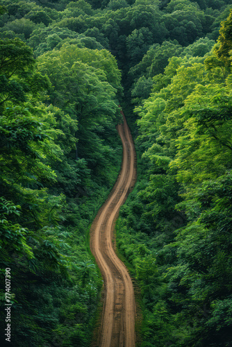 Rural Dirt Track Aerial Shot, road adventure, path to discovery, holliday trip, Aerial view © Dolgren