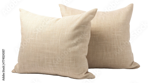 Two fluffy pillows rest on a pristine white background