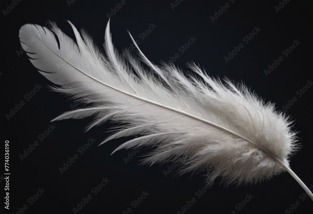 A single white feather curves gracefully, its soft texture highlighted by a deep black backdrop. AI generation A single white feather curves gracefully, its soft texture highlighted by a deep black backdrop. AI generation