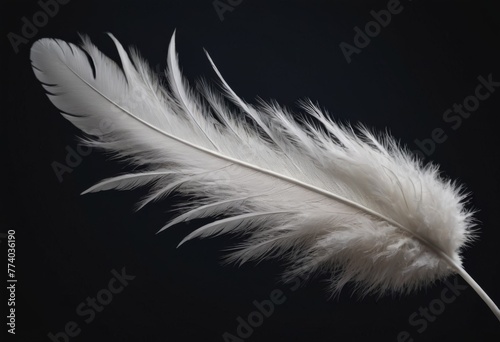 A single white feather curves gracefully, its soft texture highlighted by a deep black backdrop. AI generation