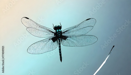 Dragonfly (130)