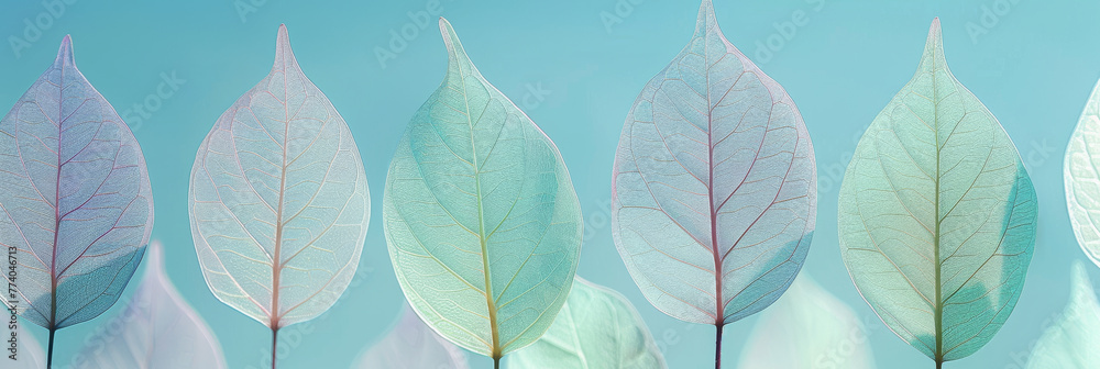 Vivid Pastel Leaves Pattern in Soft Light for Serene Backdrop