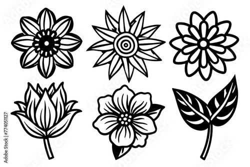 6-different-six-different-hand-drawn-flower vector illustration 