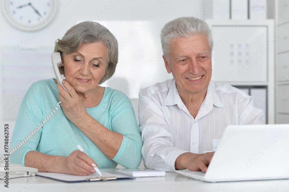 portrait of two old people working with a laptop in the office portrait of two old people working with a laptop in the office