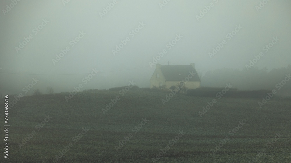 Scenic view of a small rustic house in the middle of the field covered with fog