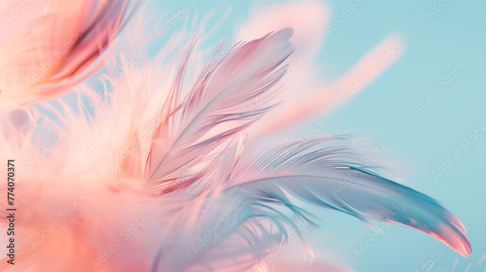 abstract background with feathers abstract background with feathers