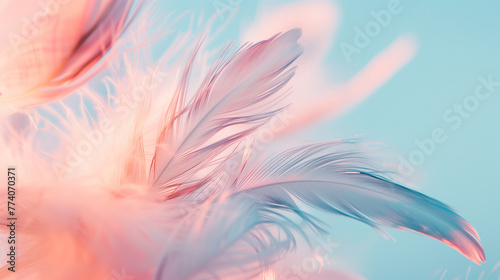 abstract background with feathers