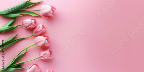 Pink Tulips on Pastel Background - Spring Flowers Flat Lay