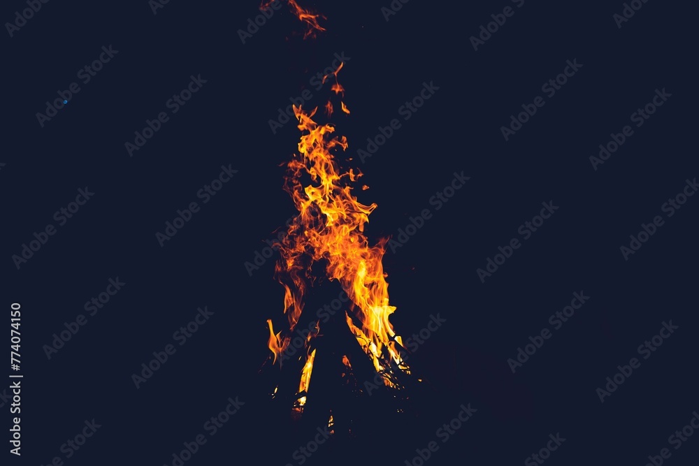Closeup of a bonfire in a forest at night Closeup of a bonfire in a forest at night