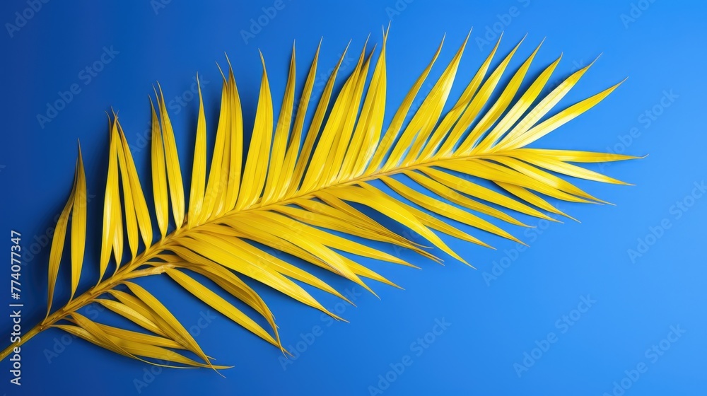 Fototapeta premium Palm tree with tropical yellow leaves on a blue background with a place for text. The concept of recreation, tourism and sea travel.