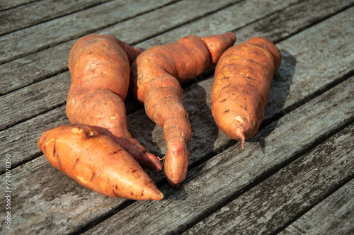 Sweet Potato on a Wooden Table. Batata on a Rustic Wooden Table with a Garden Background. Close-up of Sweet Potato in a Garden.
