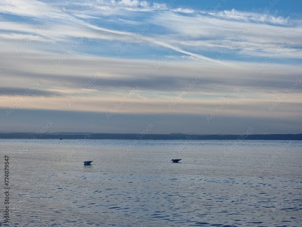Silhouettes of ducks in the open sea at Lee On The Solent, Hampshire, UK