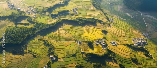 Aerial view of Beautiful Rice Fields at Chishang Township