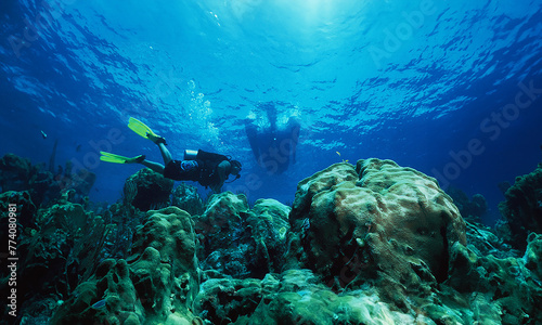 Fototapeta Naklejka Na Ścianę i Meble -  a diver on a reef in the caribbean sea