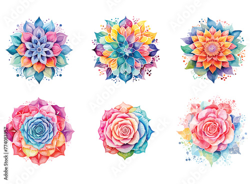 Watercolor mandala floral design vector