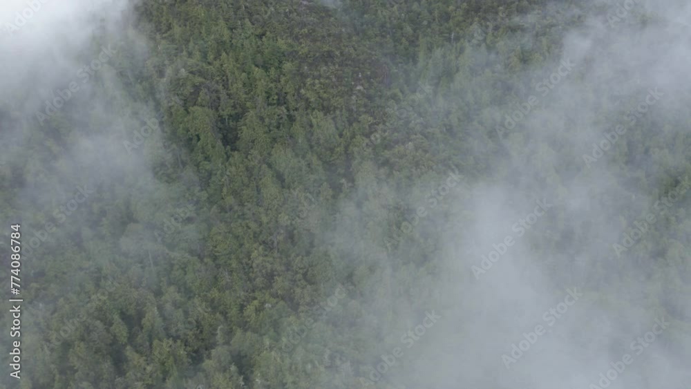 Drone view over forested mountains during foggy weather Drone view over forested mountains during foggy weather