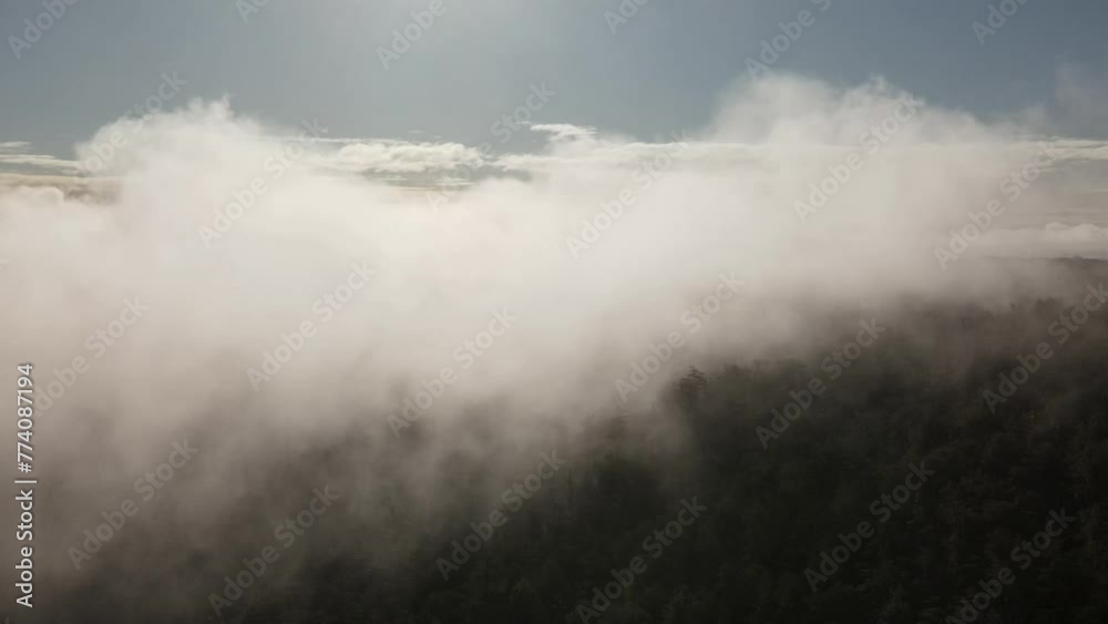 Aerial of sea waves on the beach surrounded by forests and mountains in British Columbia, Canada. Aerial of sea waves on the beach surrounded by forests and mountains in British Columbia, Canada.