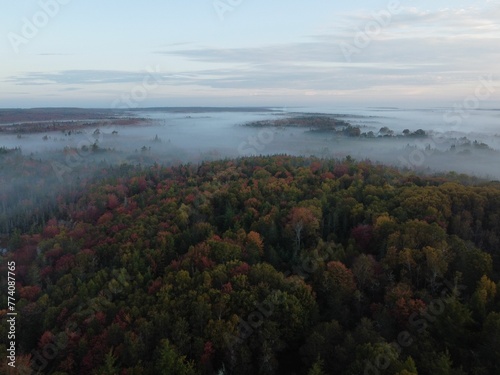 Aerial shot by a drone of a beautiful foggy forest