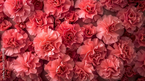 bright pink carnation background Each delicate petal adds to the intricate beauty of the scene. This creates an eye-catching composition that appeals to the senses. © Saowanee