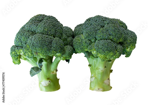 Fresh raw broccoli isolated on white background.