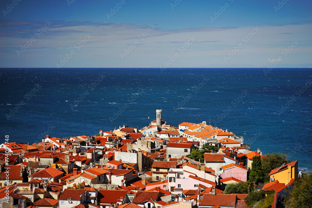 Fototapeta premium The Peaceful Village Landscape of the Mediterranean (Adriatic ocean)