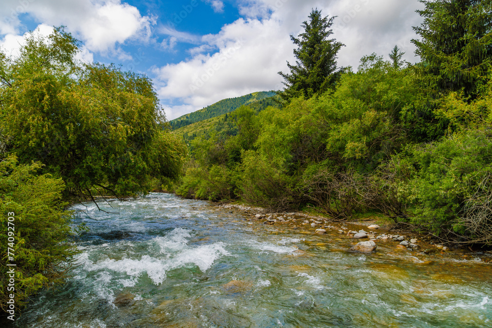 Water of rocky river flowing through green bushes under cloudy skies, surrounded by lush greenery at summer day. Water of rocky river flowing through green bushes under cloudy skies, surrounded by lush greenery at summer day.