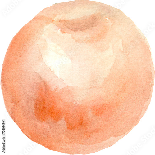 Watercolor Peach. Isolated element for design.