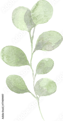 Watercolor Leaf. Isolated element for design.